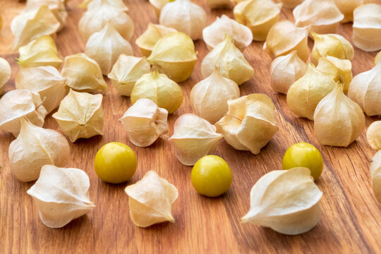 Physalis pruinosa on wooden surface