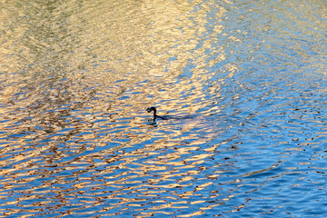 water drops on the wall