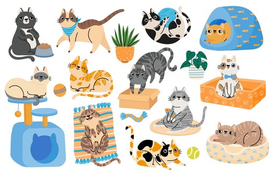 Cartoon cats playing with toys, relaxing and sleeping in bed. Hapy pet kitten characters in funny poses. Cute tabby cat stickers vector set