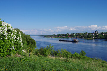 Tutaev, Russia - May, 2021: Blooming lilac bushes on the high bank of the Volga River and a view of the city of Tutaev, Borisoglebskaya side. The barge floats on the river