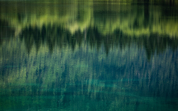 Forest reflected in lam lake surface