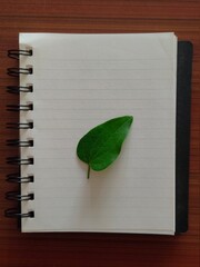 Fototapeta na wymiar Leaf on paper