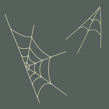 hand drawn doodle style spyder web white outlines. Vector illustration