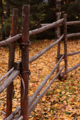 fence in autumn