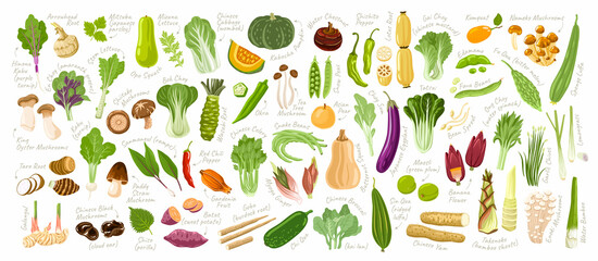 Asian vegetables set. Big collection of fresh delicious vegetarian products, exotic cooking ingredients, healthy food. Bundle of hand-drawn cartoon isolated vector illustrations.