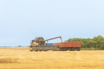 Fototapeta na wymiar The combine harvester harvests grain and wheat. agricultural industry