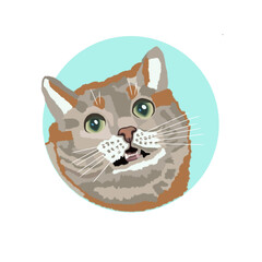 painted funny fluffy cat on a light background for printing and decoration of postcards and prints on clothes