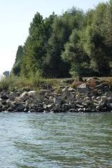 Lauter river mouth into river Rhine on a sunny day, German French border, Lauterbourg, Bas Rhin, Alsace, Grand Est, France
