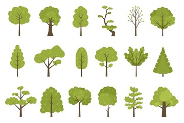 Flat forest trees icons, garden or park landscape elements. Cartoon simple summer tree trunk, leaves and branches. Nature trees vector set