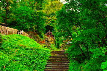 Obraz premium Togakushi Shrine, Okusya Headband