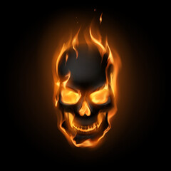 Black skull in fire flames © d1sk