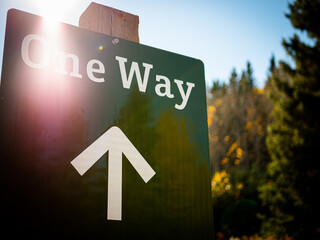 Selective focus of a one way with arrow up sign in a park under a bright sunny sky