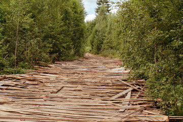 Forest road covered with wooden slats. The road to the logging site.