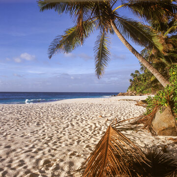 Seychelles/Fr&eacute;gate Island; Anse Victorin