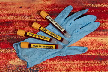 vacuum tube with blood sample for covid-19 Mu variant test