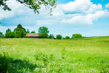 pole pola łąka stodoła wieś wioska sielsko farma obszar wiejski pastwisko zielono zieleń rolnictwo warmia mazury warmińsko-mazurskie - obrazy, fototapety, plakaty