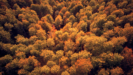 Aerial drone view of countryside hilly landscape in autumn colors.