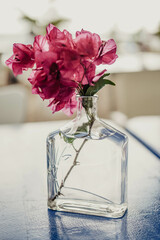 Fototapeta na wymiar Un florero hecho con una botella de cristal para una flor roja