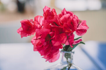 Un florero hecho con una botella de cristal para una flor roja