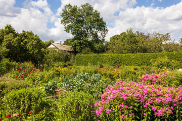 A farm garden with trees and flowers in summer