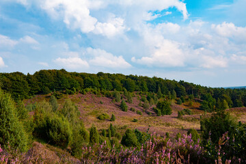 Beeindruckende Wolken über dem wunderschönen Totengrund in der Lüneburger Heide