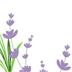 Obraz na płótnie Canvas Floral background with lavender and leaves. Vector illustration for romantic design, template for banner or postcard.