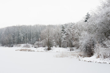 A winter forest is covered with hoarfrost on the shores of the frozen river