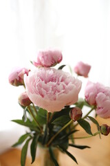 Obraz premium pink peonies in vase
