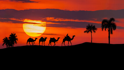 Camel caravan moving in the Sahara desert at sunset.