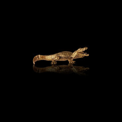 gold metal crocodile isolated on black background with clipping path