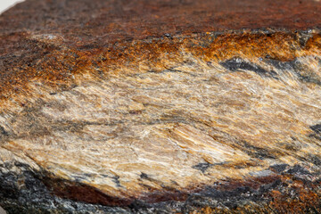 Macro mineral stone Snake eye in the rock a white background