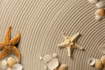 Fototapeta na wymiar The composition of sea shells and starfish on a wavy textured surface of a sandy beach