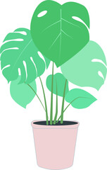 monstera flat design illustration minimalism