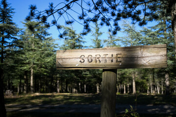 panneau en bois sortie dans la forêt