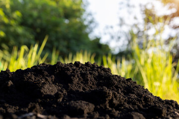 Soil and black husks to prepare for planting