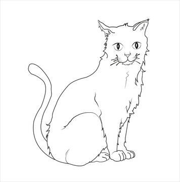 dibujo de gato sentado lineas