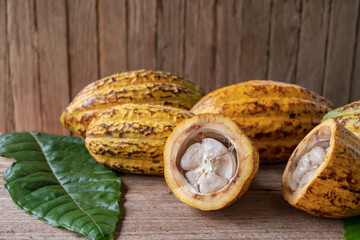 Halved cocoa fruit and cocoa pods