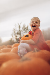 Happy girl holding a big pumpkin in her hands. Girl sitting on a field surrounded by large pumpkins.