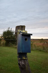Birdhouse