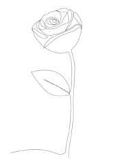 Rose flower icon. Continuous one line drawing. Vector illustration,vector illustration for t-shirt.