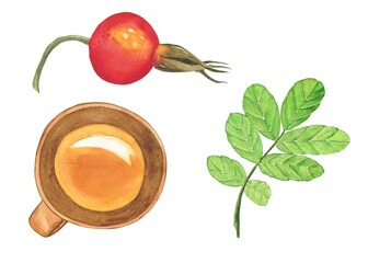 Rose hip berry and clay cup isolated on white background. Watercolor hand drawing illustration. Perfect for food design, print, menu decoration.