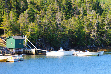 Moored fishing boats at a pier, Trinity Bay, Newfoundland