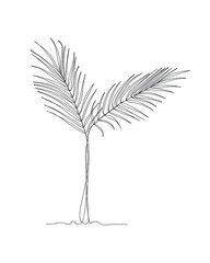 Tropical  green palm leaves  line continuous. Minimalist art. One line drawing. Continuous line drawing. Vector illustration,vector illustration for t-shirt ,printing.