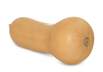 butternut squash slice isolated on white background