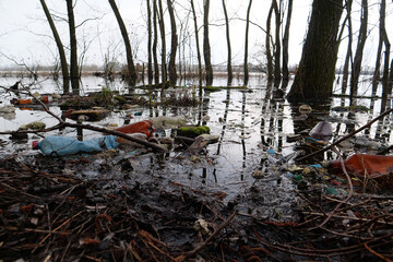 Plastic bottles and many other garbage lies on the shore of the lake