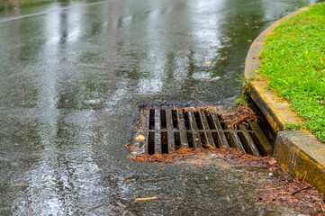 Metal storm drain during a rain event with leaves and needles starting to buildup around the edges