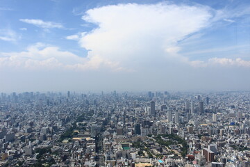 Obraz premium 夏の入道雲