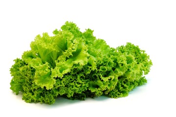 Fototapeta premium lettuce isolated on white