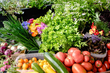 Assorted vegetables straight from the farm to restaurant