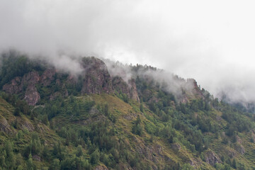 Rocky mountains in the fog.